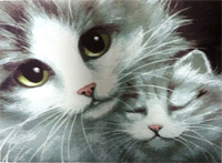 Cats - Painting By Numbers 40x50cm (  )