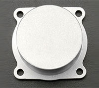   Cover Plate 46AX (24607000)