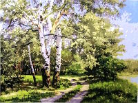 Birch - Painting By Numbers 40x50cm (  )