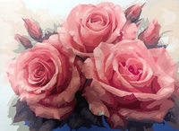 Pink Rose - Painting By Numbers 40x50cm (  )