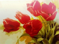 Red Tulips - Painting By Numbers 40x50cm (  )