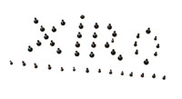 Xiro Xplorer Screw Set