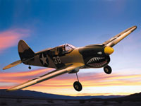 Curtiss P-40 Warhawk 40 (  )