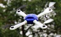 Dualsky Quadcopter Hornet 460 PNP (  )