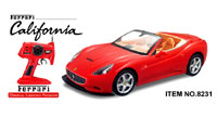 Ferrari California 1:10 (  )