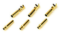 Golden Plug 2mm