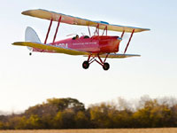 Hangar 9 Tiger Moth 20cc ARF (  )