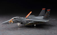 Hasegawa F-15E Strike Eagle Tiger Meet 2005 Limited Edition 1/48 (нажмите для увеличения)