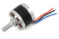 Walkera WK-WS-17-002 Brushless Motor CCW Rodeo 150