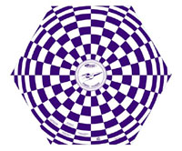Estes Printed Parachute 15 in (  )