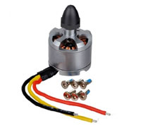 DJI Phantom 2 Brushless Motor 2212 920kV CW (  )