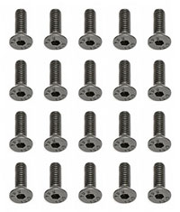 FHCS Screw 3x10mm 20pcs