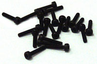 Socket Screw 2x10 20pcs (TTRPV0778)