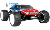 Shark MT RTR (  )