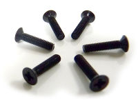 Flat Head Screw 3x14mm 6pcs (  )