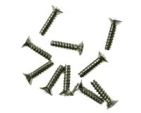 TP Flat Head Screw 3x12mm 10pcs (  )