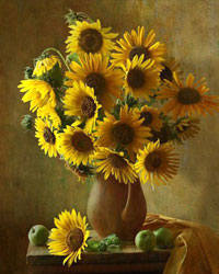 Sunflowers - Painting By Numbers 40x50cm (  )