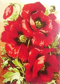 Red Poppies - Painting By Numbers 40x50cm (  )